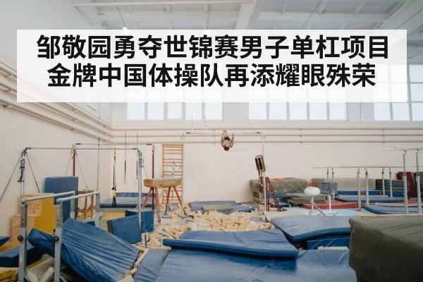 邹敬园勇夺世锦赛男子单杠项目金牌中国体操队再添耀眼殊荣